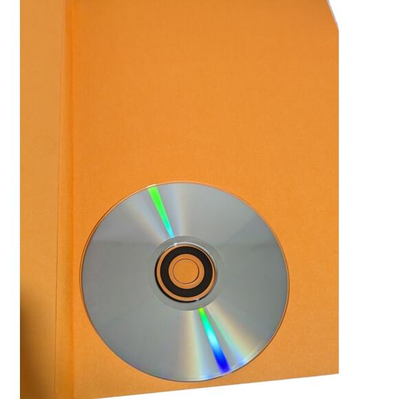 The Sinatra Treasures: Intimate Photos, Mementos Music Sinatra Family Collection - Picture 6 of 13